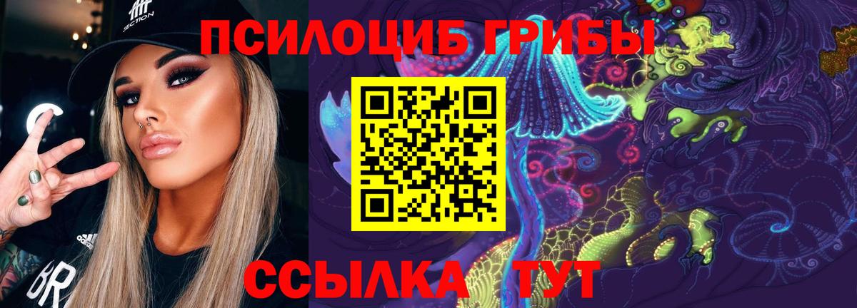 где купить наркотик  Галлюциногенные грибы Magic Shrooms  Вход с VPN  Галлюциногенные грибы прущие грибы  Волжск 