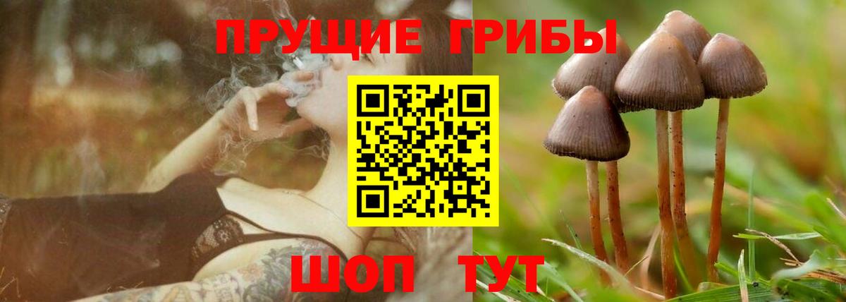 Псилоцибиновые грибы MAGIC MUSHROOMS Волжск